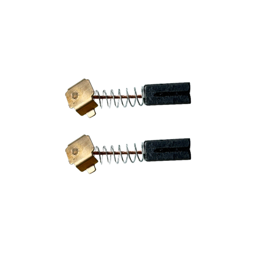 Charbons pour polisseuse DAS-6 V2 (lot de 2)
